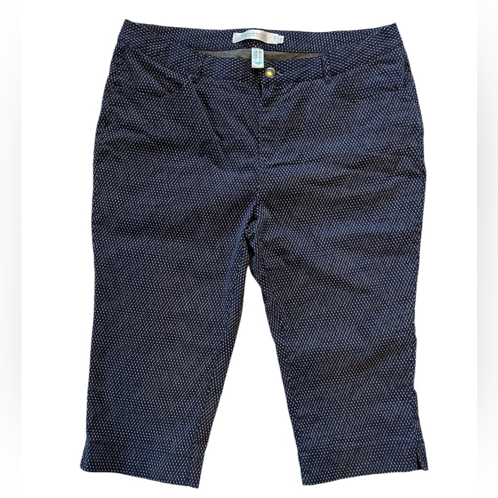 Simons Contempraine blue patterned capris, Sz 16